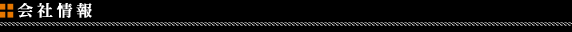���F�C���T�C�h(Veilside)��Џ��