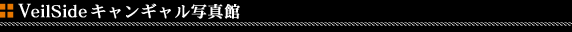 ���F�C���T�C�h(Veilside)���ӌ��E�N���[����